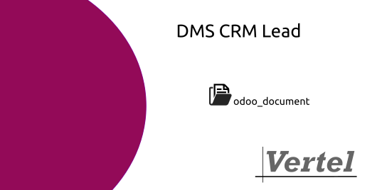 Document: DMS CRM Lead