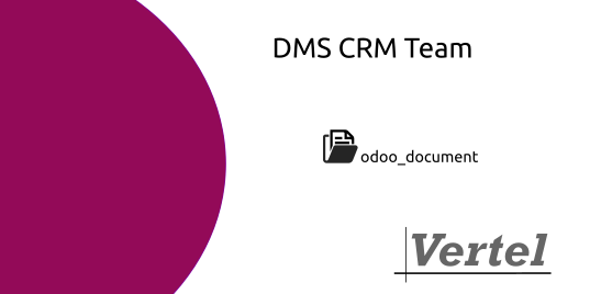 Document: DMS CRM Team