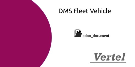 Document: DMS Fleet Vehicle