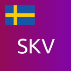 l10n_se: SKV