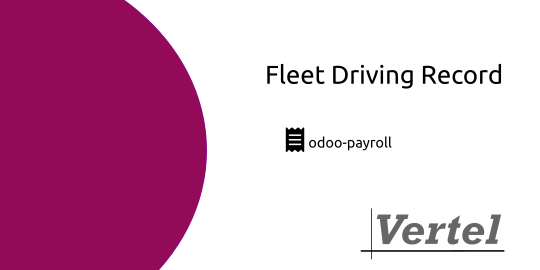 Payroll: Fleet Driving Record