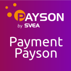 Payson Payment Acquirer