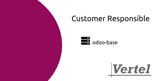 Base: Customer Responsible