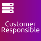 Base: Customer Responsible